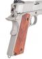 Preview: Colt 1911 Railgun Stainless