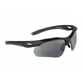 Swiss Eye, Skyray Schutzbrille